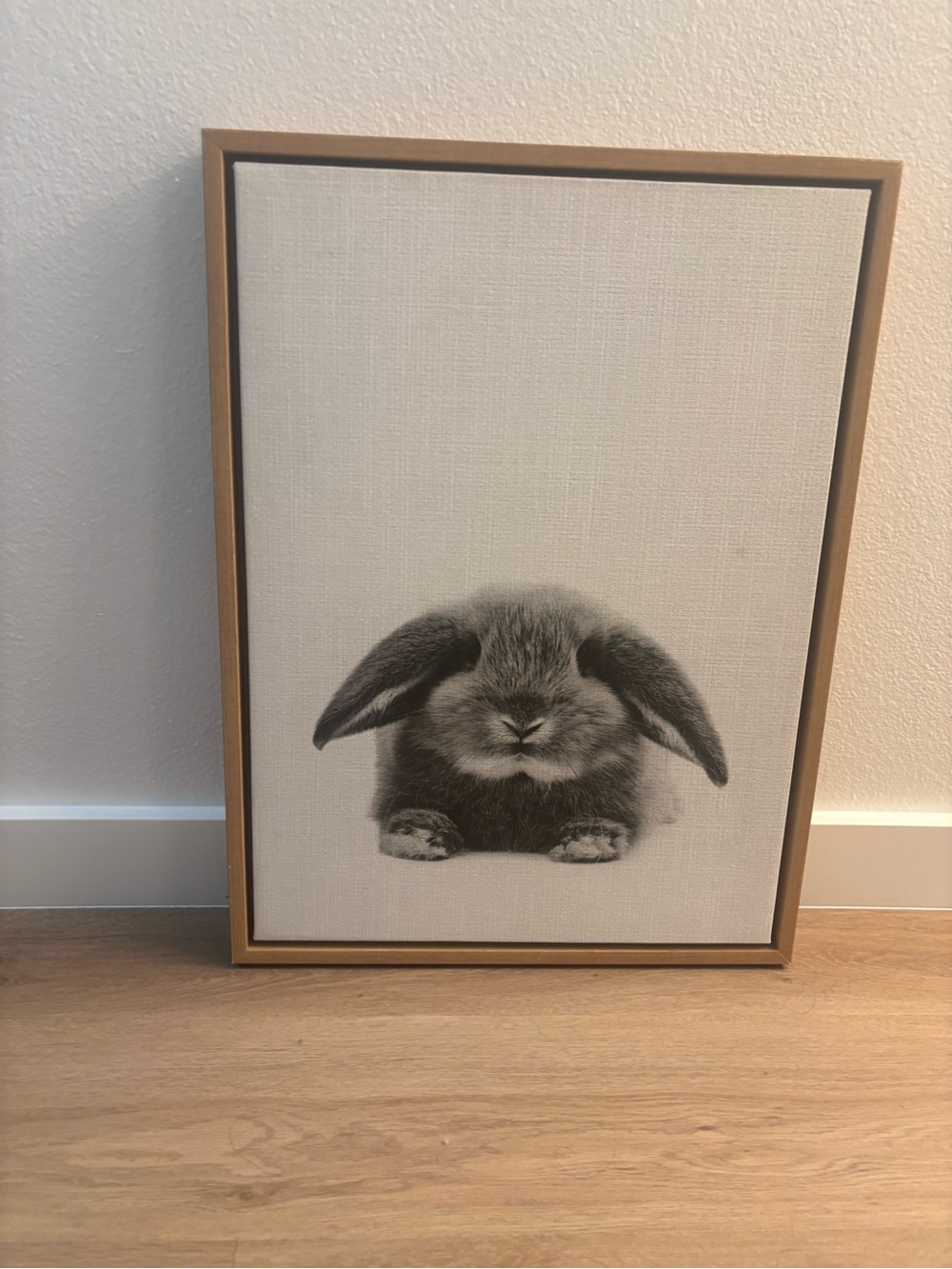 HOP TO IT! - Picture 6 of 6
